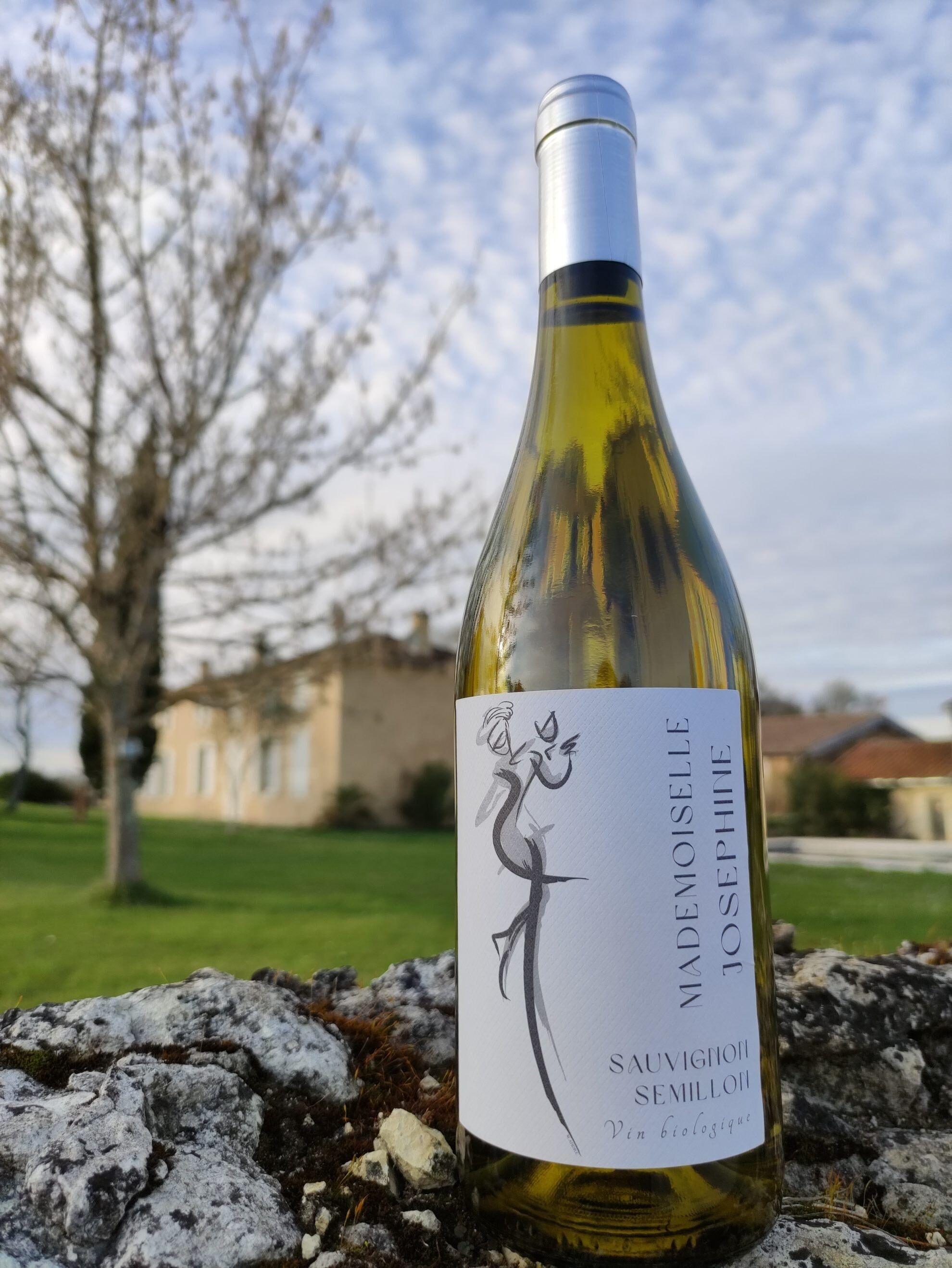 Mademoiselle JOSEPHINE Blanc Blaye Côtes de Bordeaux Blanc AOC 2023
