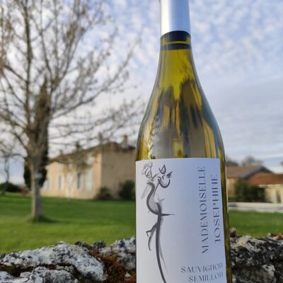 Mademoiselle JOSEPHINE White
Blaye Côtes de Bordeaux White AOC 2019
