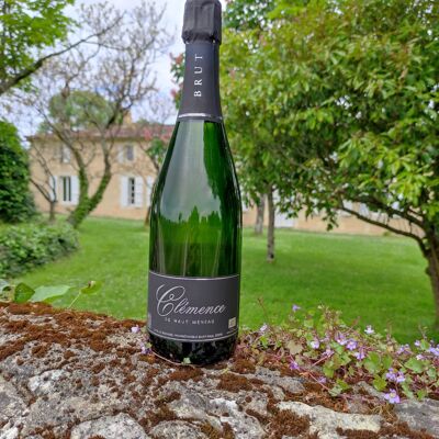 CLEMENCE DE HAUT-MENEAU Crémant de Bordeaux AOC