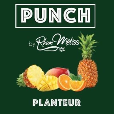 Punch Planter