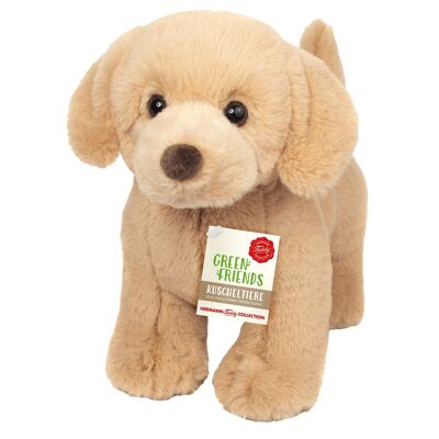 Golden retriever de pie 30 cm - peluche - peluche