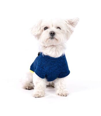 Groc Groc Pull Marin Pull pour Chien Bleu Moyen 1