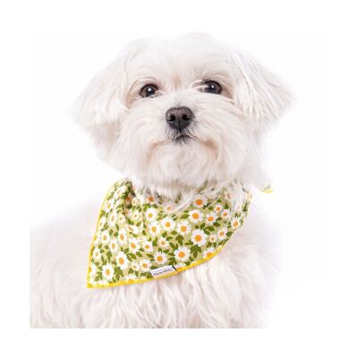 Bandana for dog Lara Green Daisies