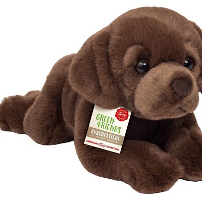 Labrador lying chocolate brown 32 cm - plush toy - soft toy