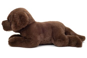 Labrador couché marron chocolat 32 cm - peluche - peluche 3