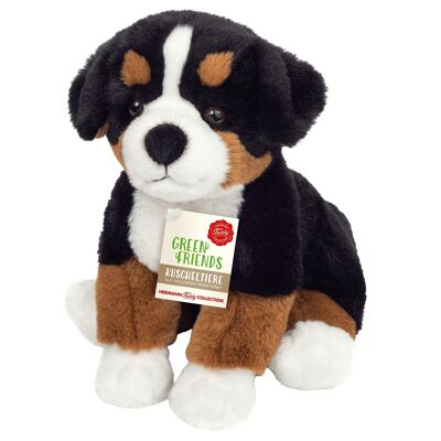 Bernese Mountain Dog sitting 26 cm - plush toy - soft toy
