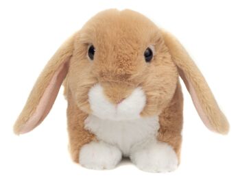 Lapin beige 23 cm - peluche - peluche 5