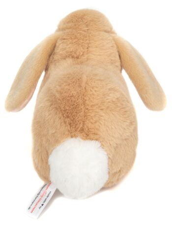 Lapin beige 23 cm - peluche - peluche 8