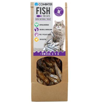 FISH FOR CATS MEDIUM FISH 100G