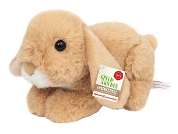 Lapin beige 17 cm - peluche - peluche 8