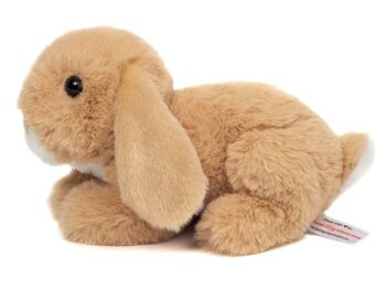 Lapin beige 17 cm - peluche - peluche 9