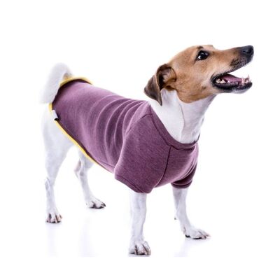 Pull pour Chien Groc Groc Néoprène Aubergine