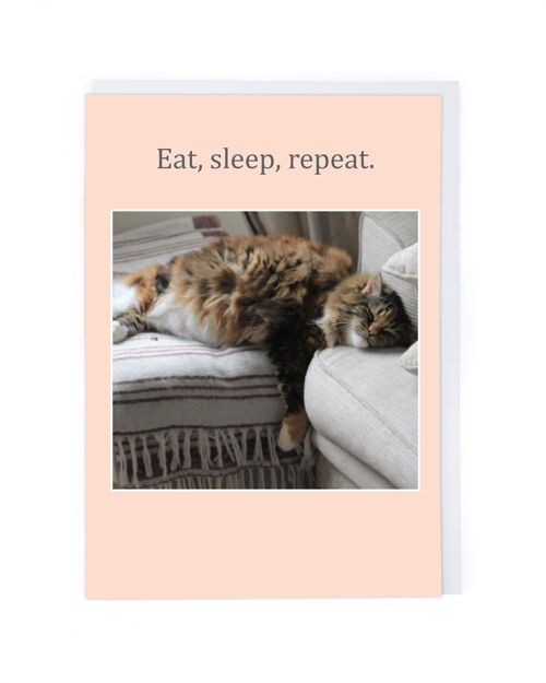 Eat, Sleep, Repeat Birthday Card
