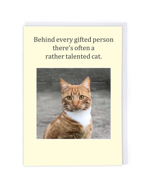 Talented Cat Greeting Card