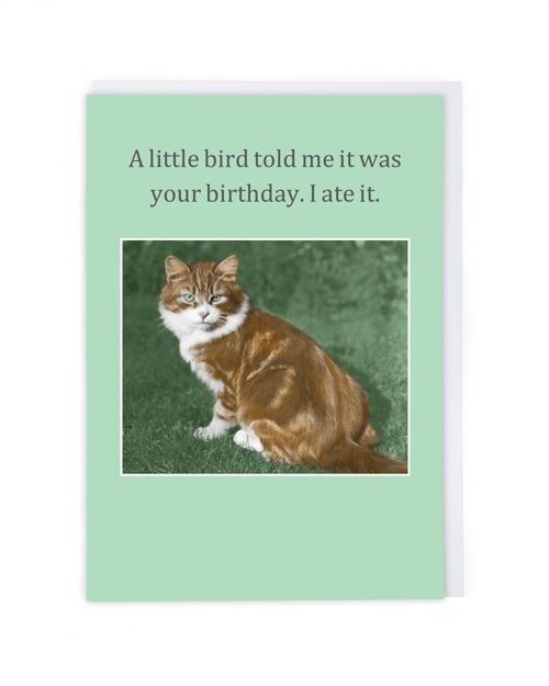 A Little Bird Told Me Greeting Card