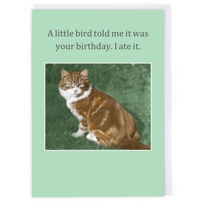 A Little Bird Told Me Greeting Card