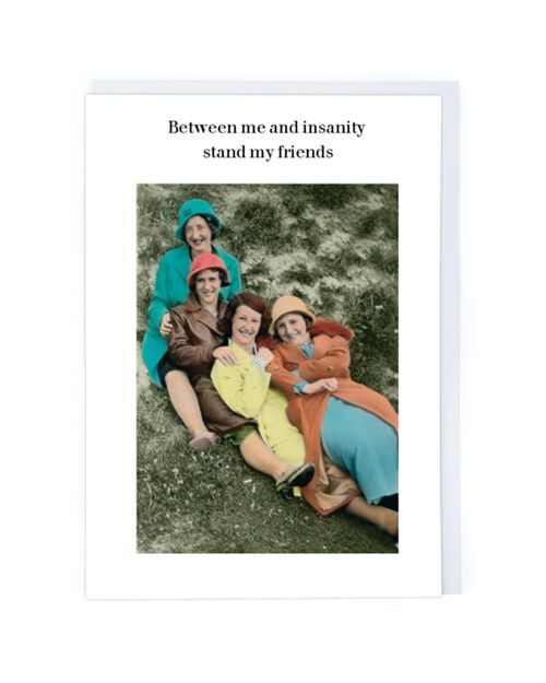 Between Me And Insanity Friendship Card