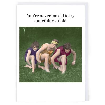 Try Something Stupid Greeting Card