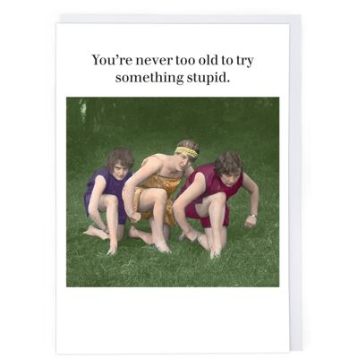 Try Something Stupid Greeting Card
