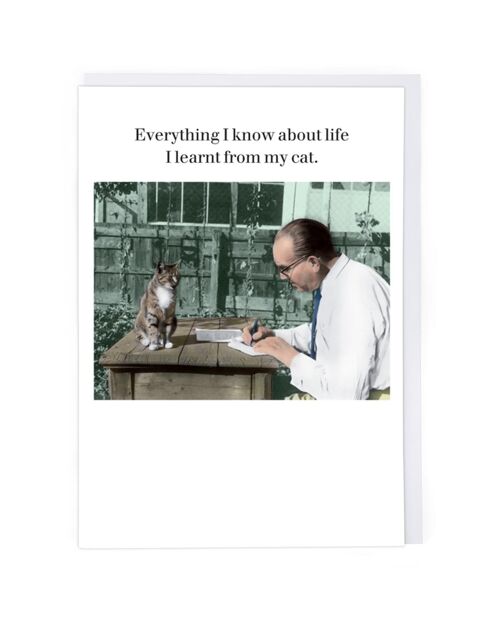 Learnt From My Cat Greeting Card