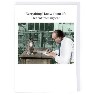 Learnt From My Cat Greeting Card