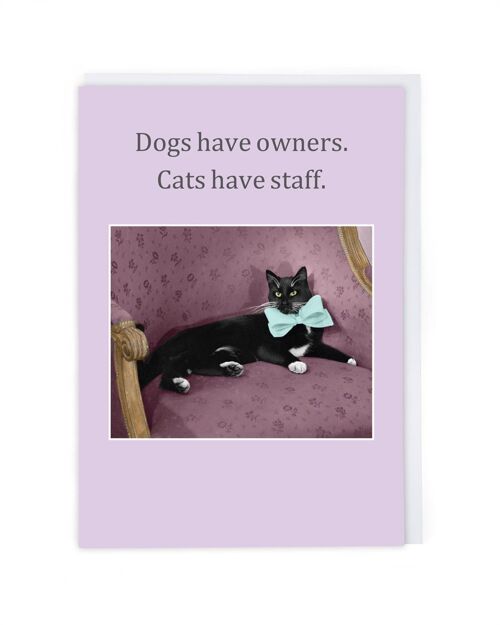 Cats Have Staff Greeting Card