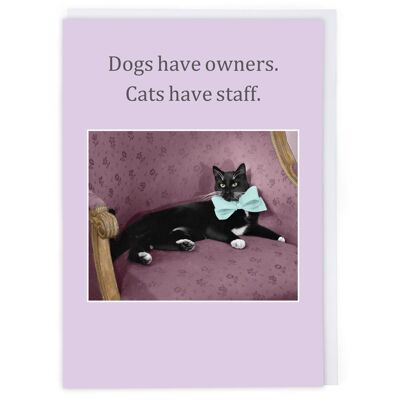 Cats Have Staff Greeting Card