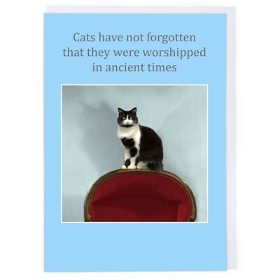 Worshipped Greeting Card