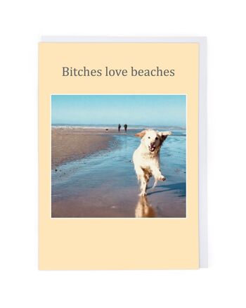 Carte d'anniversaire de plages d'amour de chiennes