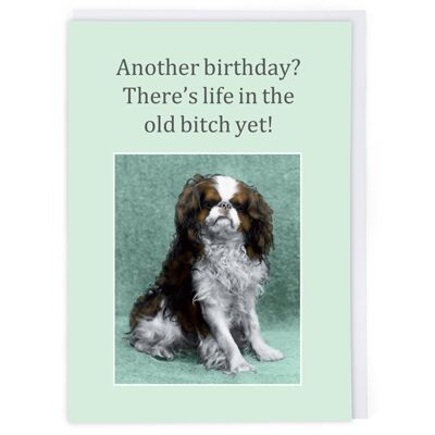 There's Life Yet Birthday Card