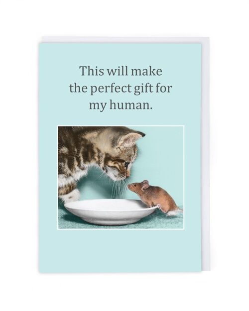 Perfect Gift Greeting Card