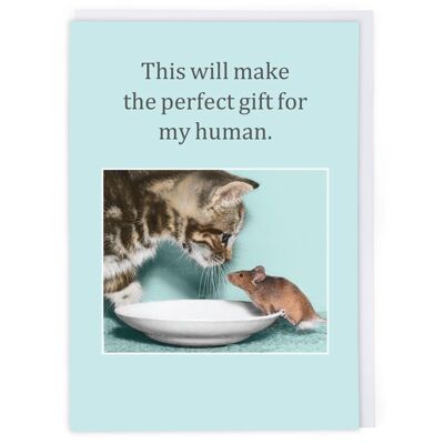 Perfect Gift Greeting Card