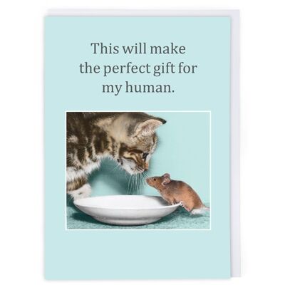 Perfect Gift Greeting Card