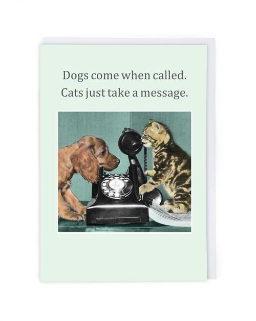 Cats Take A Message Greeting Card