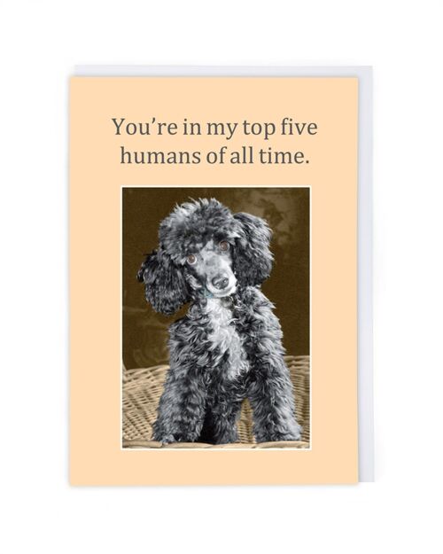 Top Five Humans Greeting Card