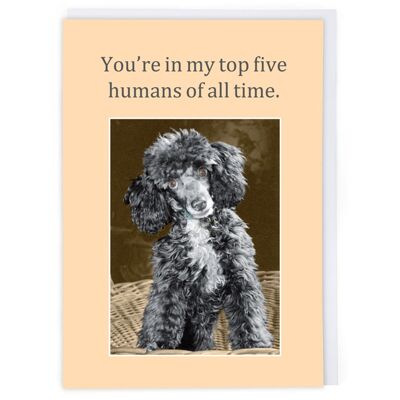 Top Five Humans Greeting Card