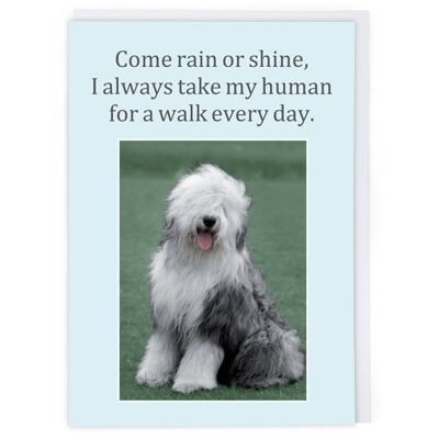 Take My Human For A Good Walk Greeting Card