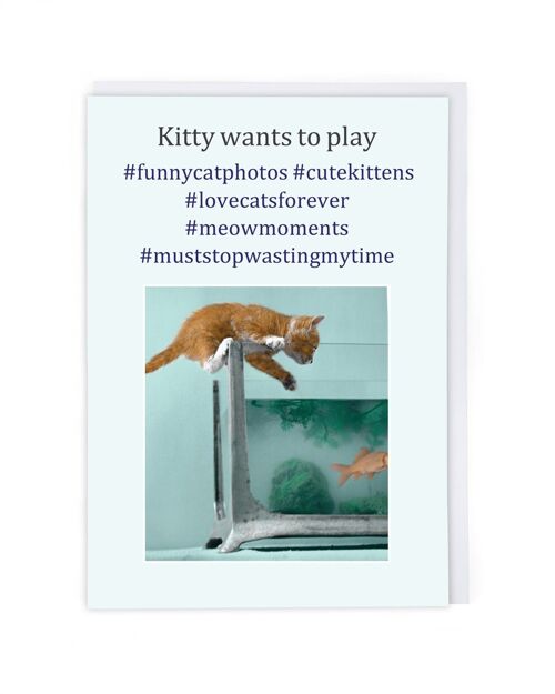 Kitty Wants To Play Greeting Card