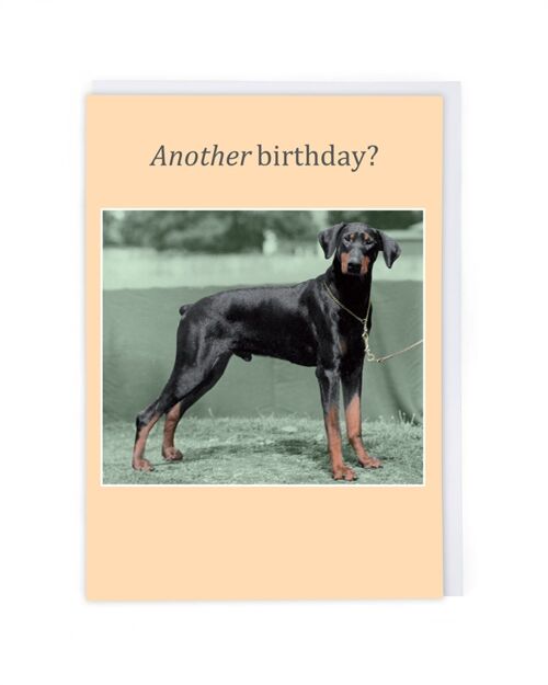 Another Birthday Birthday Card