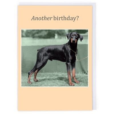 Another Birthday Birthday Card