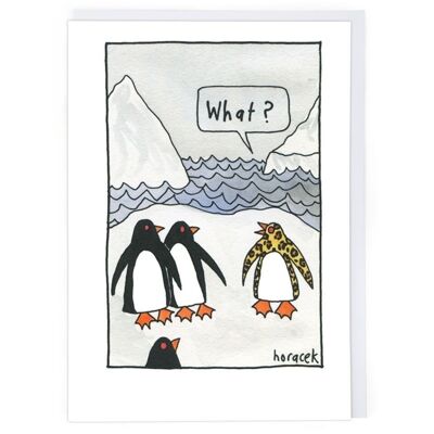 What? Greeting Card