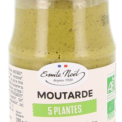 Moutarde 5 plantes Bio