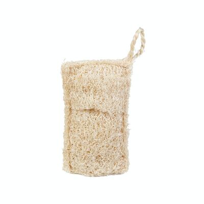 Loofah dish sponge