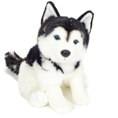 Husky sitting 30 cm - plush toy - soft toy