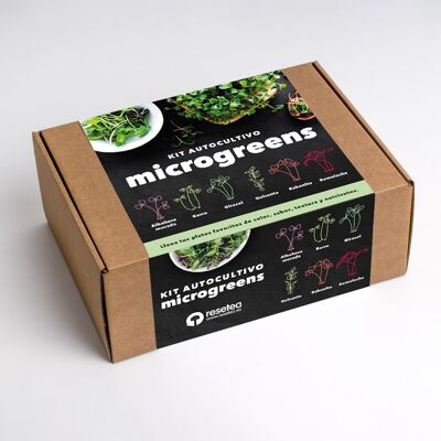 Kit für den Selbstanbau von Microgreens