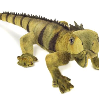 Iguana 49 cm - plush toy - soft toy