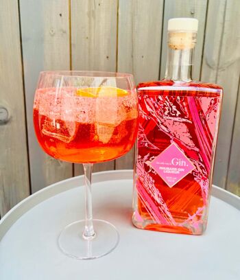 Liqueur de gin à la rhubarbe végétalienne 1