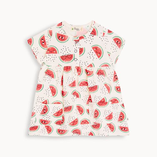 Birling - Watermelon Printed Dress With Pockets