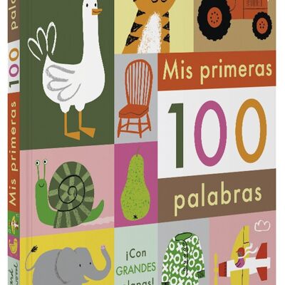 Livre pour enfants Mes 100 premiers mots Langue : EN