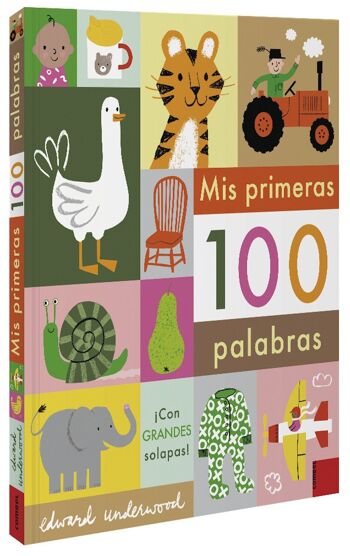 Livre pour enfants Mes 100 premiers mots Langue : EN